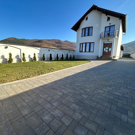 Вілла Gura Raului Casa De Vacanta Екстер'єр фото