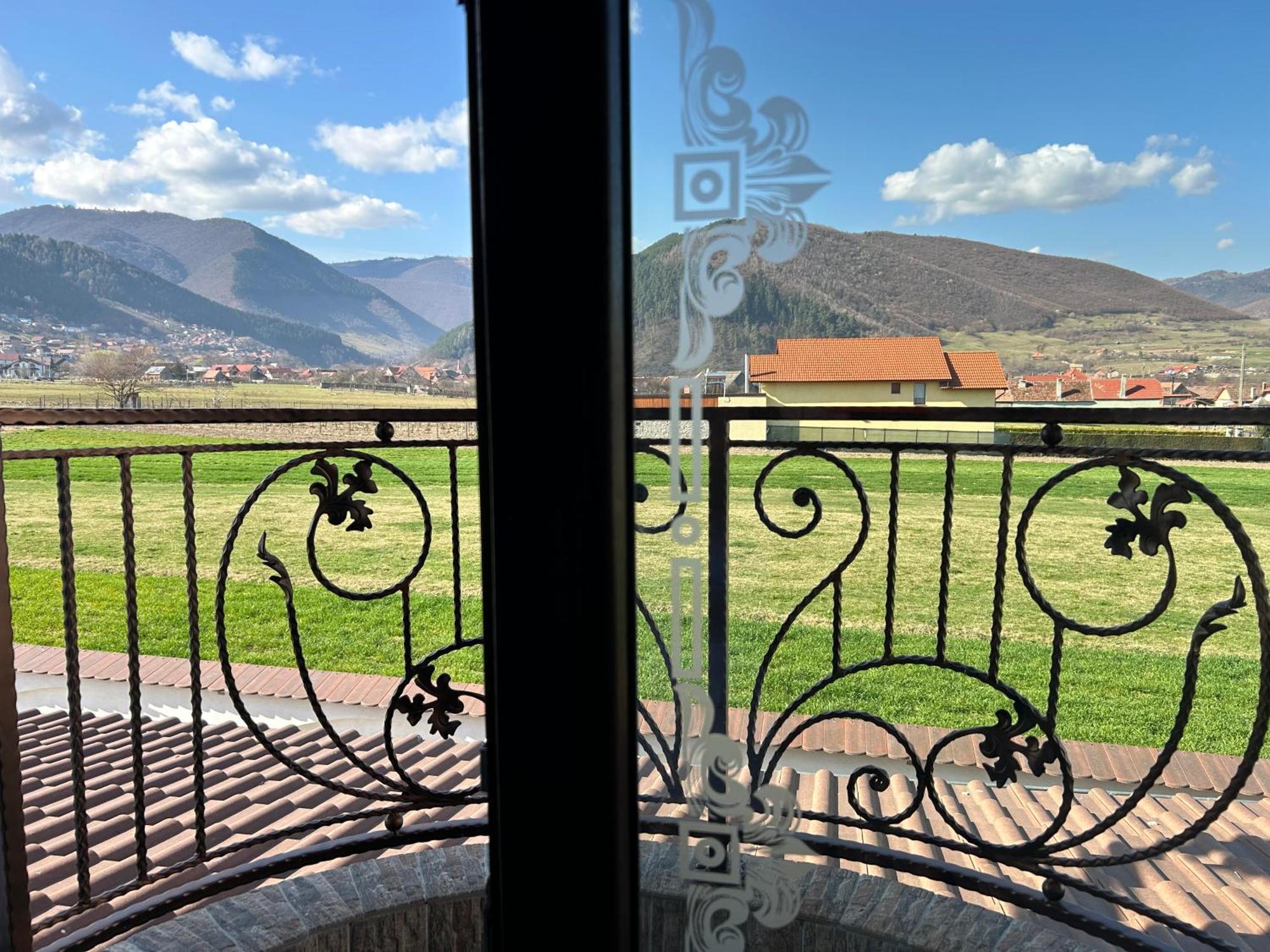 Вілла Gura Raului Casa De Vacanta Екстер'єр фото